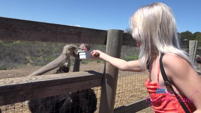 Как всегда, прогулочка получилась замечательной
