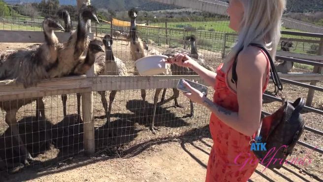 Превью Как всегда, прогулочка получилась замечательной № 46901