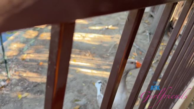 Превью Это же просто прекрасное первое свидание № 46911