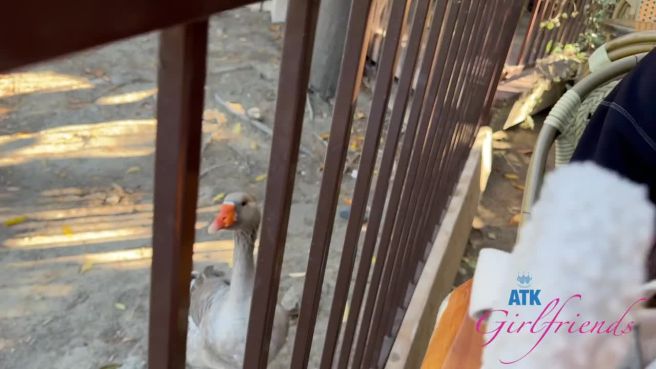 Превью Это же просто прекрасное первое свидание № 46911