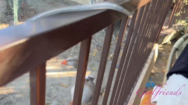 Превью Это же просто прекрасное первое свидание № 46911